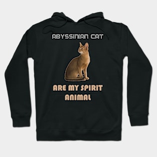 Abyssinian Cat Are My Spirit Animal Hoodie